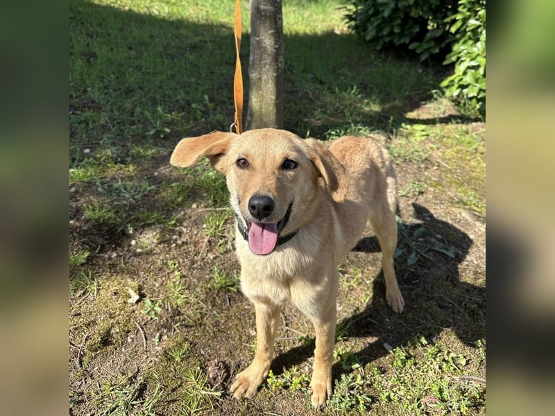 Lilo eine freundliche kleine Prinzessin