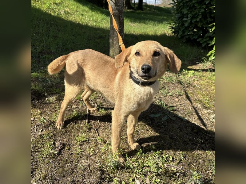 Lilo eine freundliche kleine Prinzessin