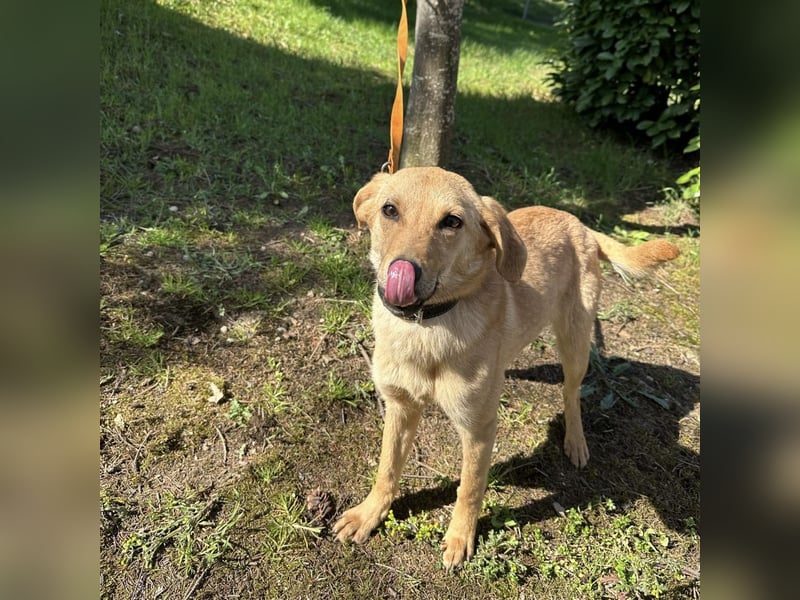 Lilo eine freundliche kleine Prinzessin