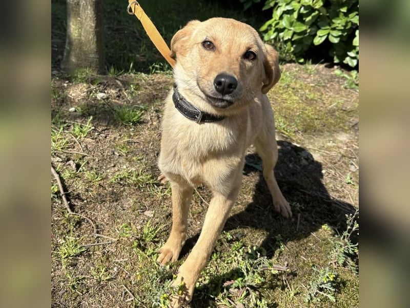 Lilo eine freundliche kleine Prinzessin