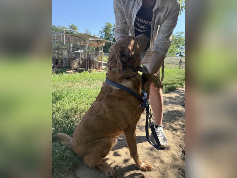 Jack - ein kleiner Kämpfer