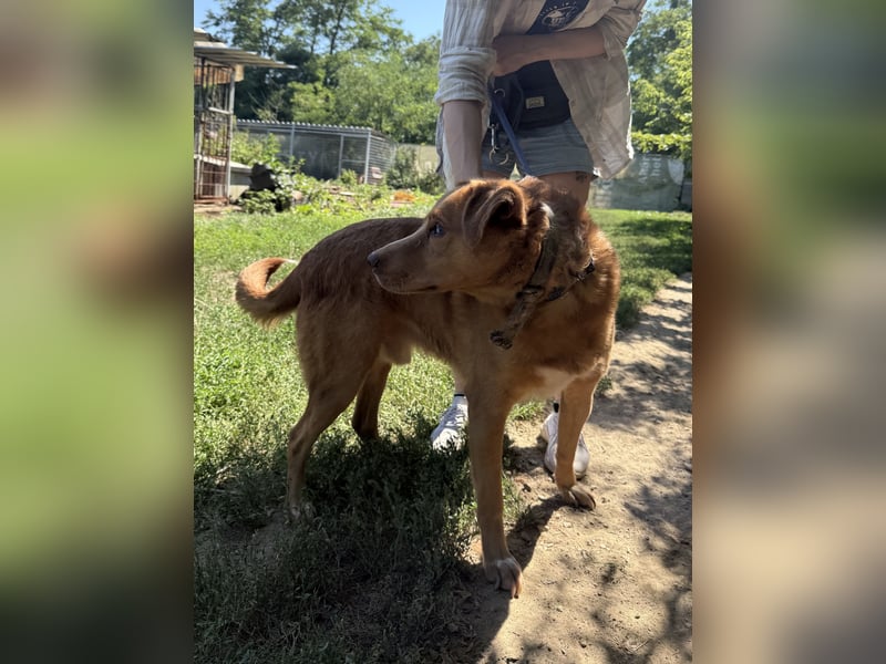 Jack - ein kleiner Kämpfer