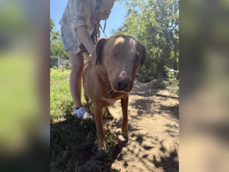 Jack - ein kleiner Kämpfer