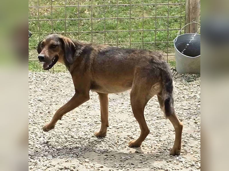 Freya eine gutmütige zarte Seele