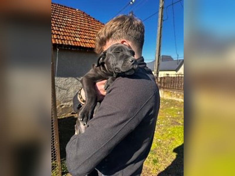 Lucas freut sich auf ein schönes Plätzchen