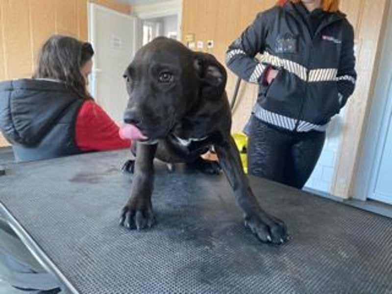 Lucas freut sich auf ein schönes Plätzchen