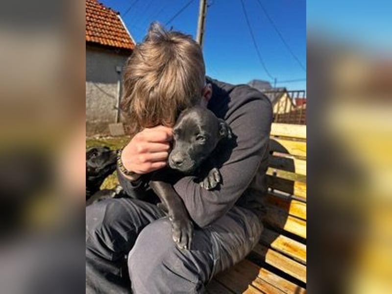 Lali, zauberhaft süß und verspielt