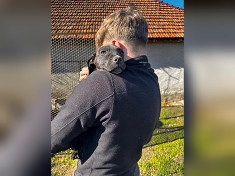 Lucas freut sich auf ein schönes Plätzchen
