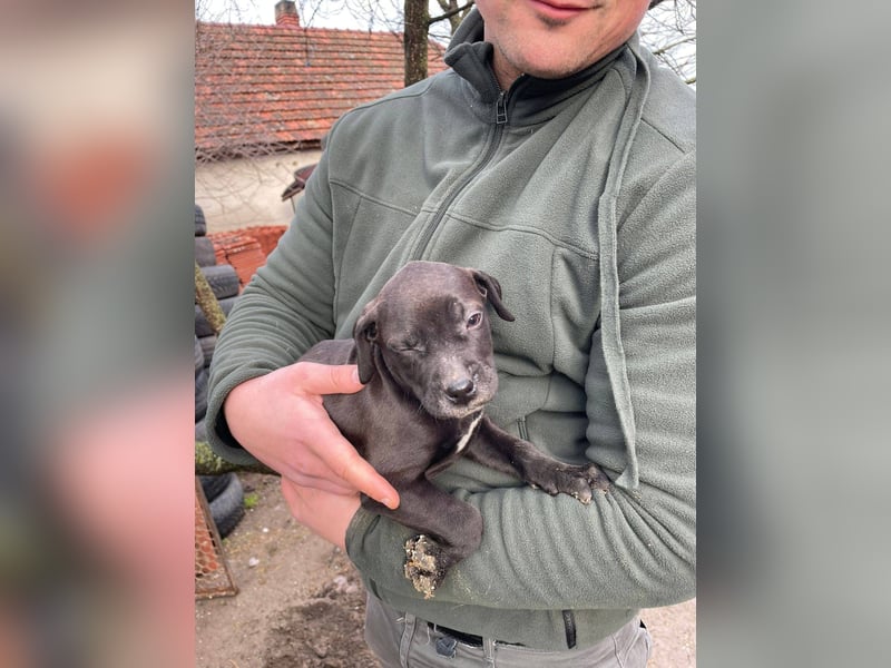 Lucas freut sich auf ein schönes Plätzchen