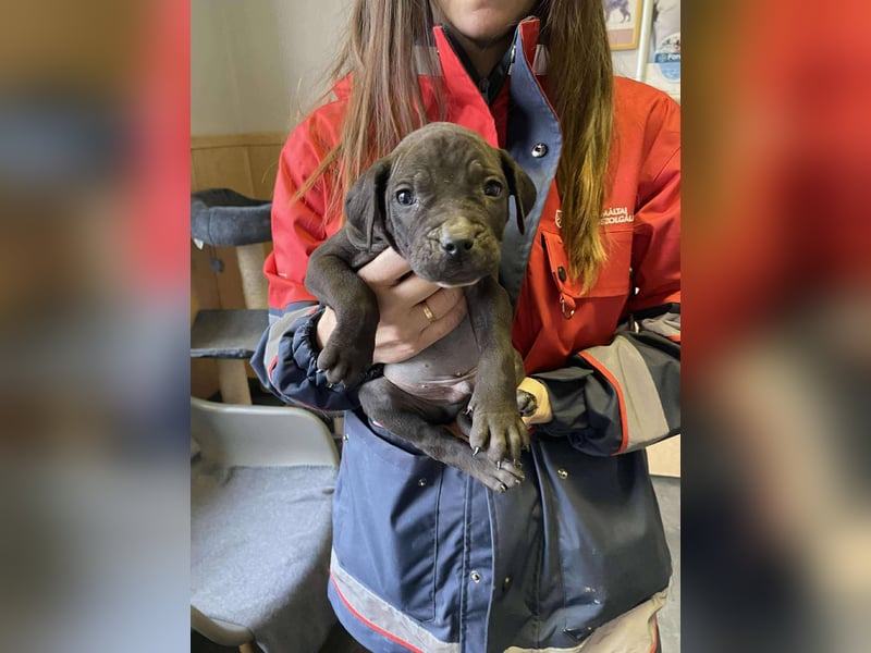 Lucas freut sich auf ein schönes Plätzchen