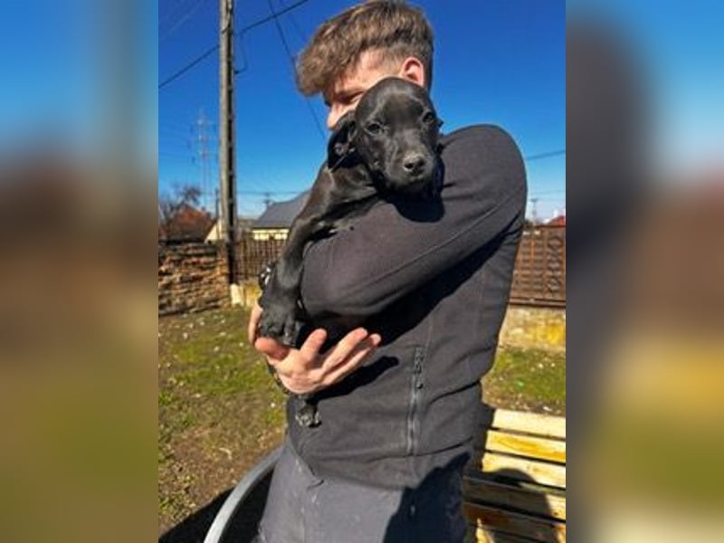 Lipot, einer von vielen Geschwisterchen