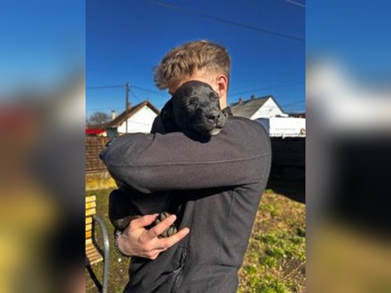 Lola, verspielt und voller Energie