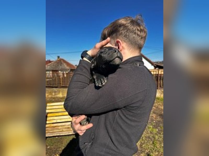 Lola, verspielt und voller Energie