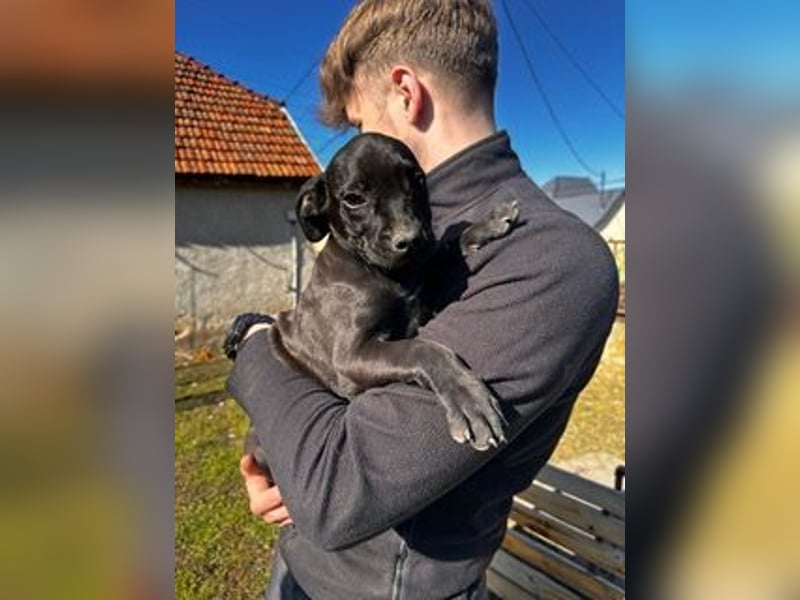 Lali, zauberhaft süß und verspielt