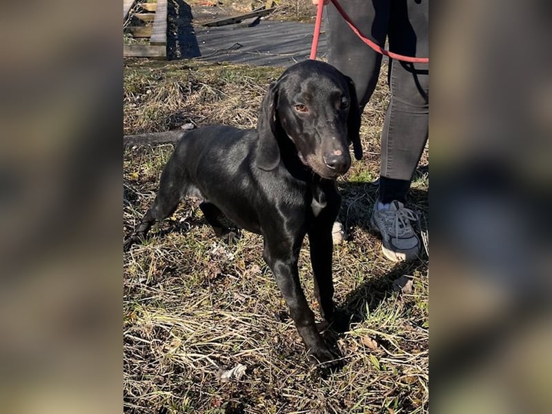 Borsod, Energiebündel sucht aktive Mensch