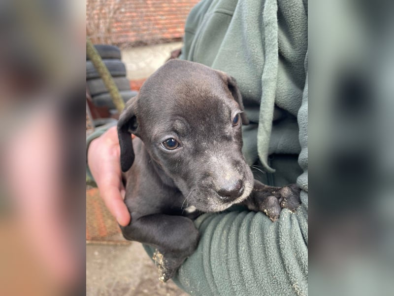 Lucas freut sich auf ein schönes Plätzchen