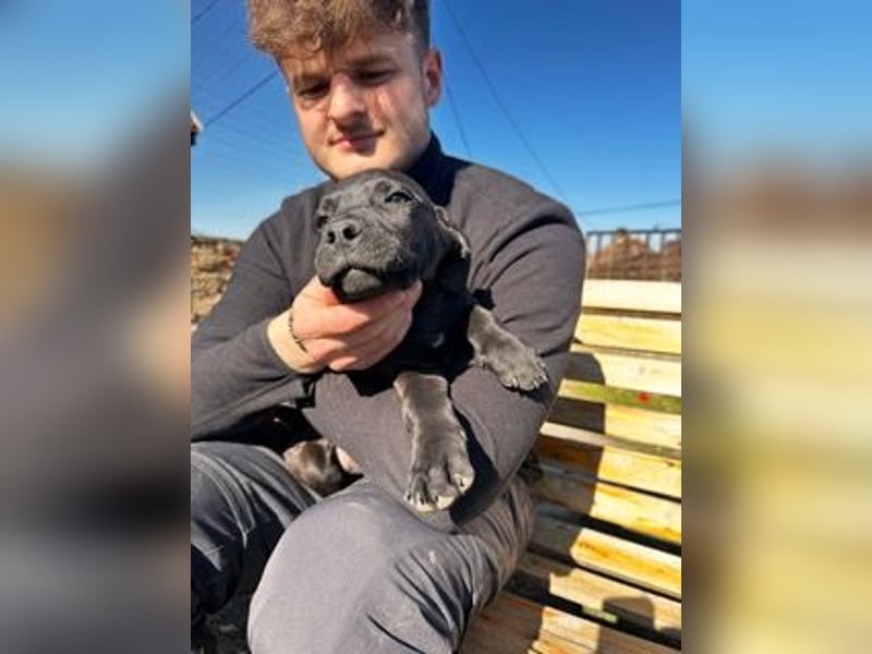 Lali, zauberhaft süß und verspielt