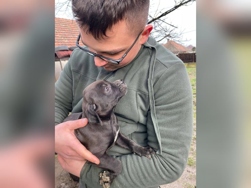 Lucas freut sich auf ein schönes Plätzchen