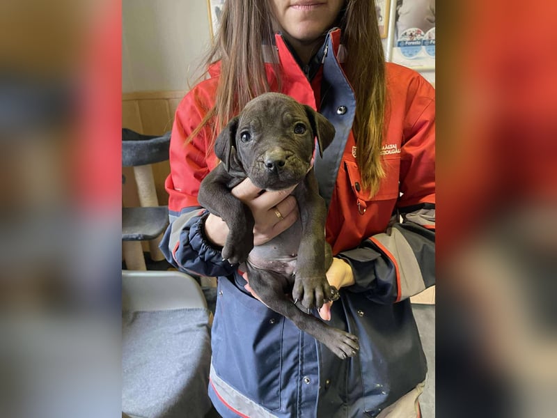 Lucas freut sich auf ein schönes Plätzchen