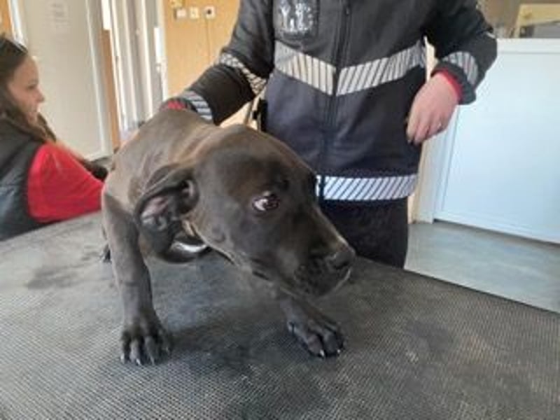 Lucas freut sich auf ein schönes Plätzchen