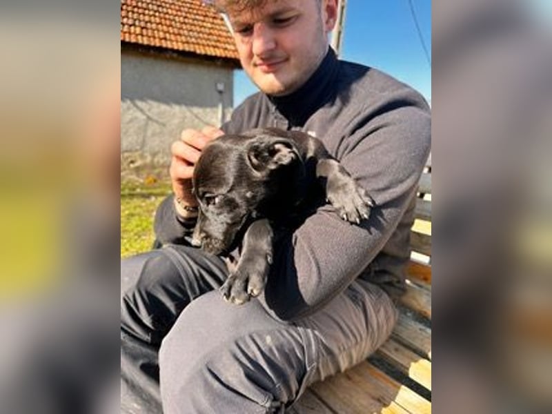 Lali, zauberhaft süß und verspielt