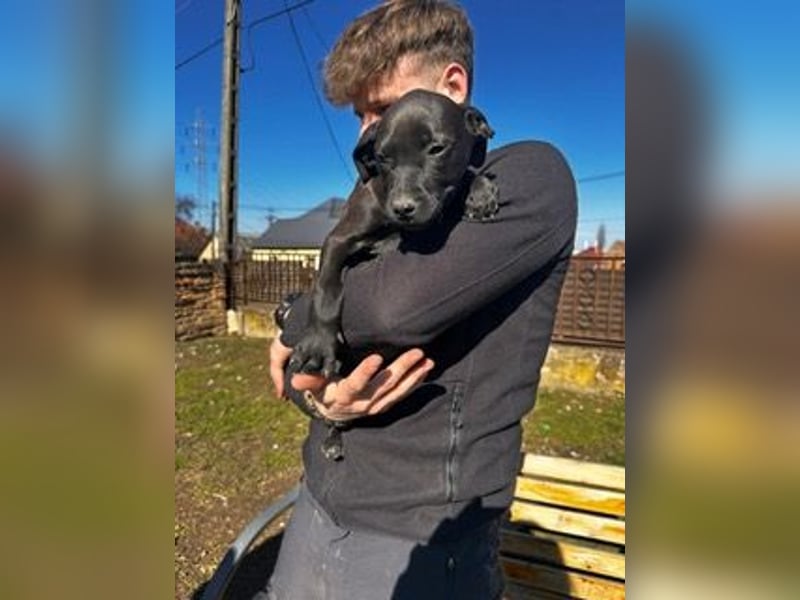 Lipot, einer von vielen Geschwisterchen