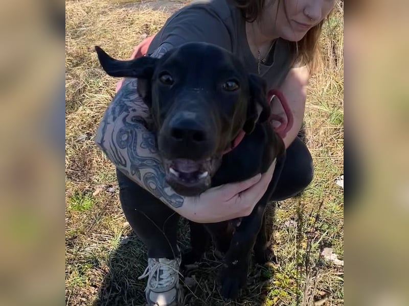 Borsod, Energiebündel sucht aktive Mensch