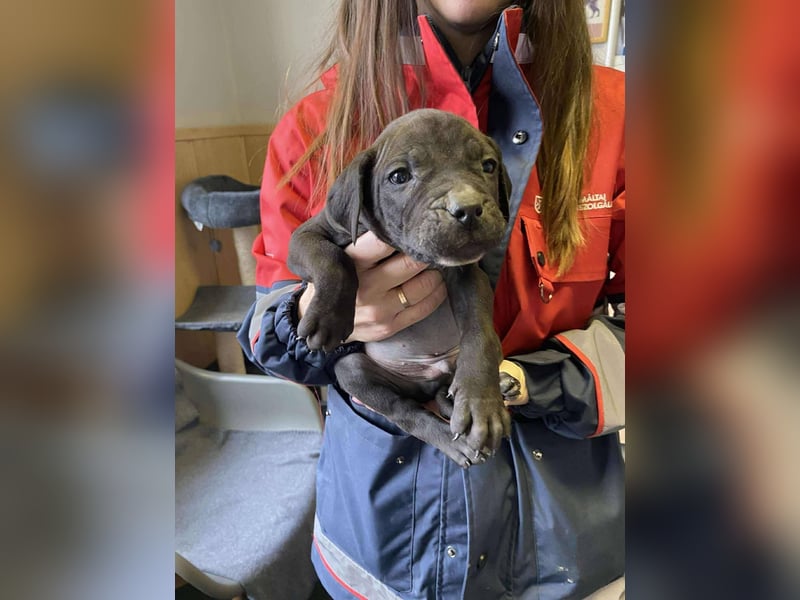 Lucas freut sich auf ein schönes Plätzchen