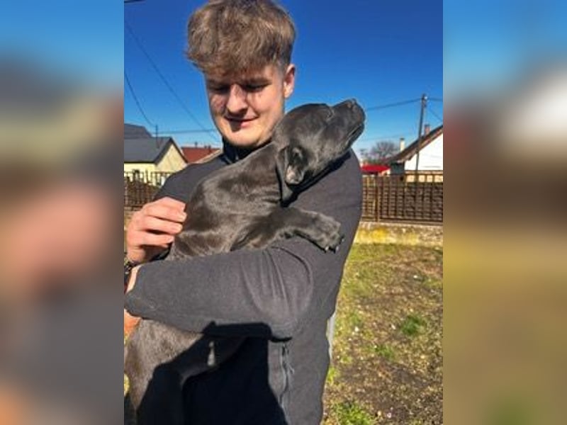 Loci sucht liebevolles Zuhause