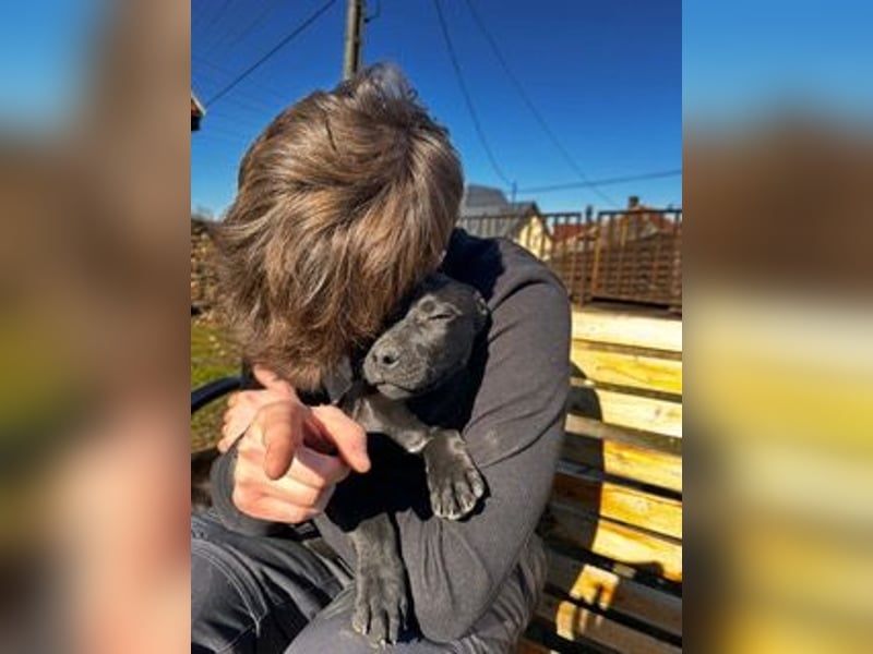 Lali, zauberhaft süß und verspielt