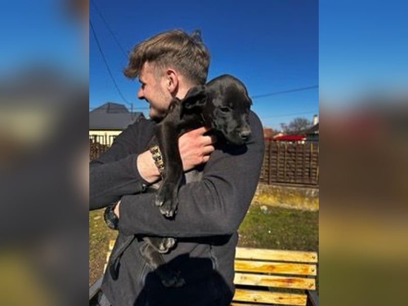 Lipot, einer von vielen Geschwisterchen