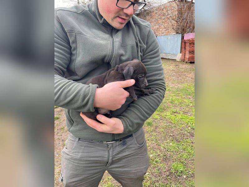 Lipot, einer von vielen Geschwisterchen