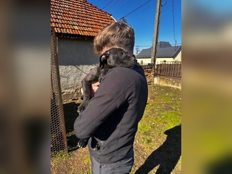 Lucas freut sich auf ein schönes Plätzchen