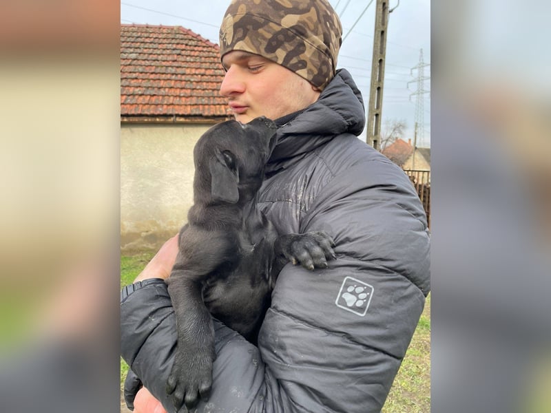 Lilom, süße Maus möchte das Hunde 1x1 lernen