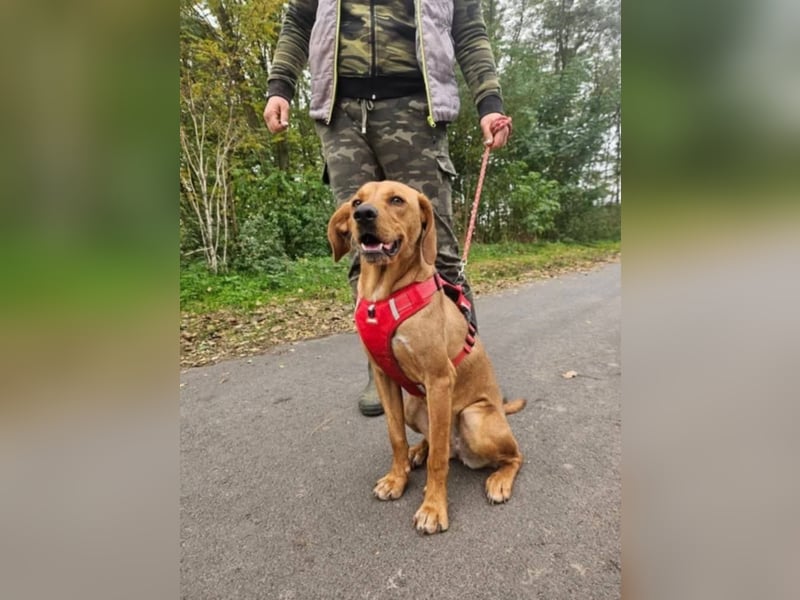Mirtill, geboren 04.2025, 45cm sucht ihre Menschen