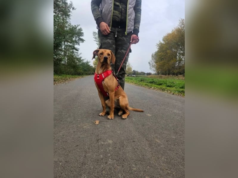 Mirtill, geboren 04.2025, 45cm sucht ihre Menschen