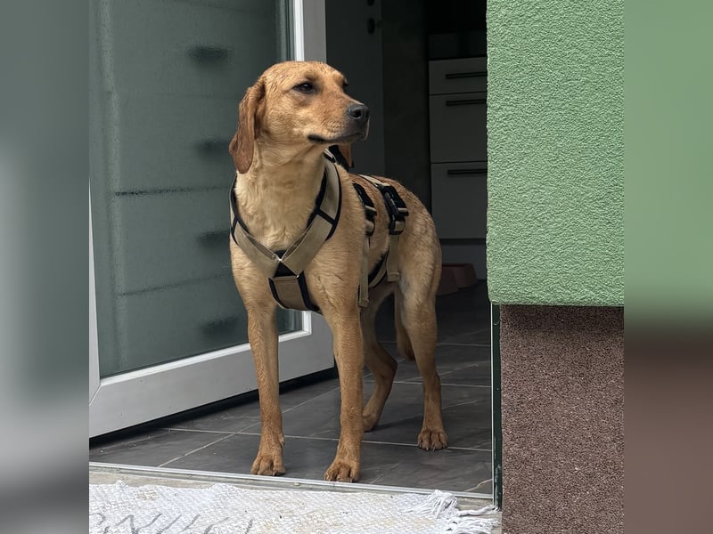 Raya eine ängstliche sanfte Seele
