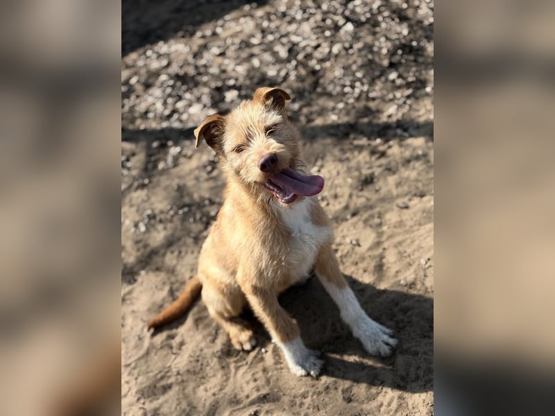 Arif sucht genau dich!