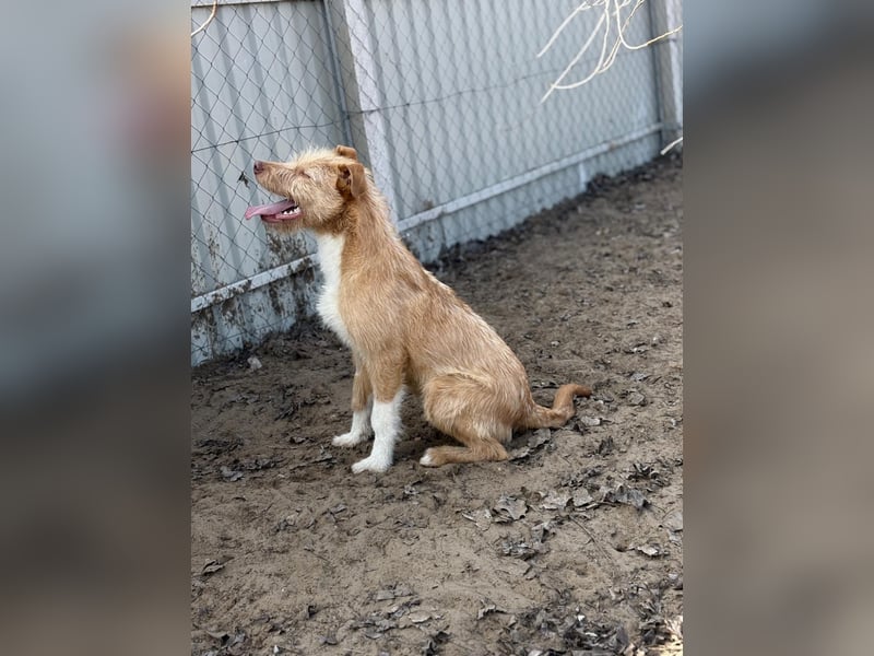 Arif sucht genau dich!