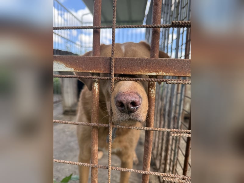 Mit Jack geht jeden Tag die Sonne 2x auf
