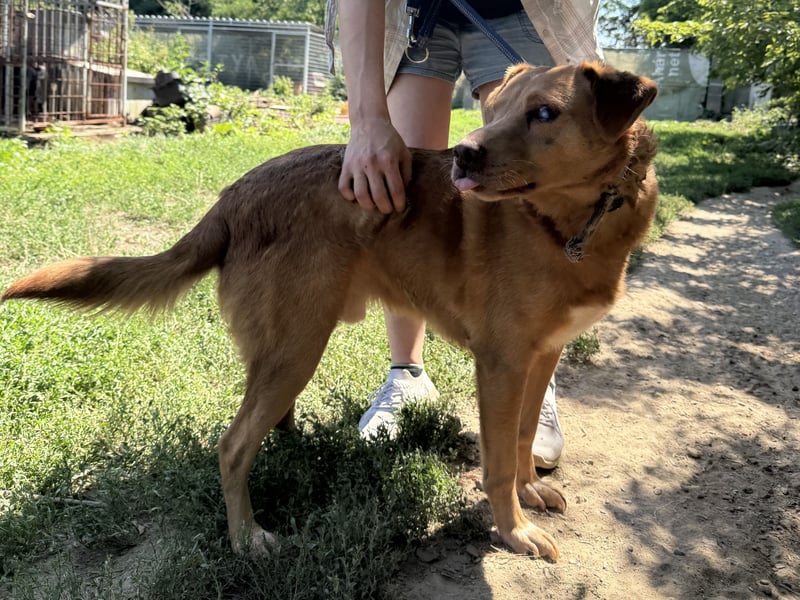Mit Jack geht jeden Tag die Sonne 2x auf