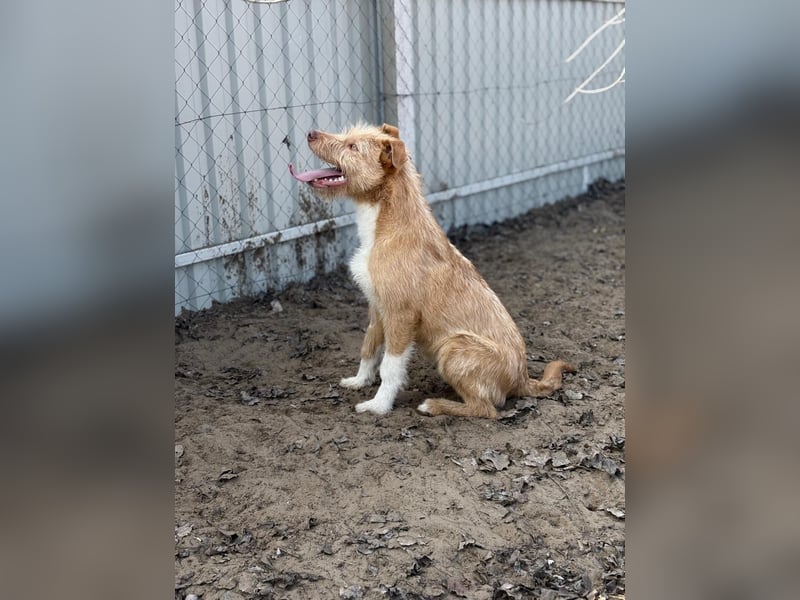 Arif sucht genau dich!