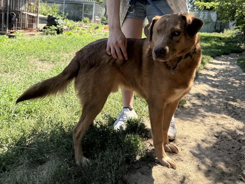Jack träumt von einem eigenen Zuhause