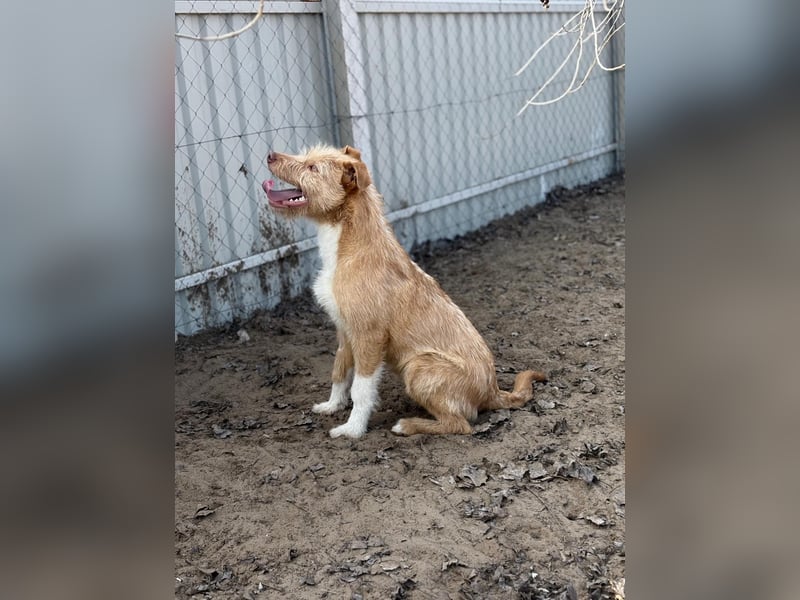 Arif sucht genau dich!