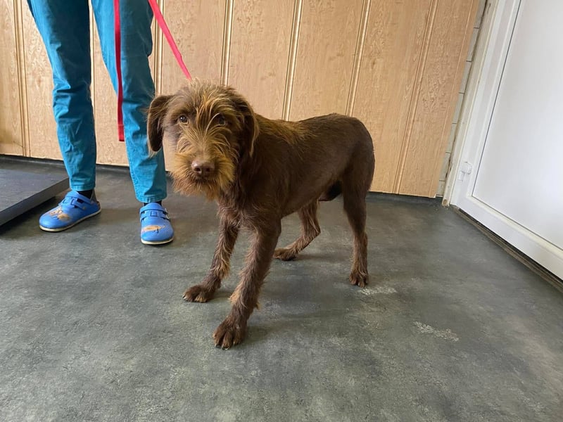 Avatar sucht Magyar Liebhaber