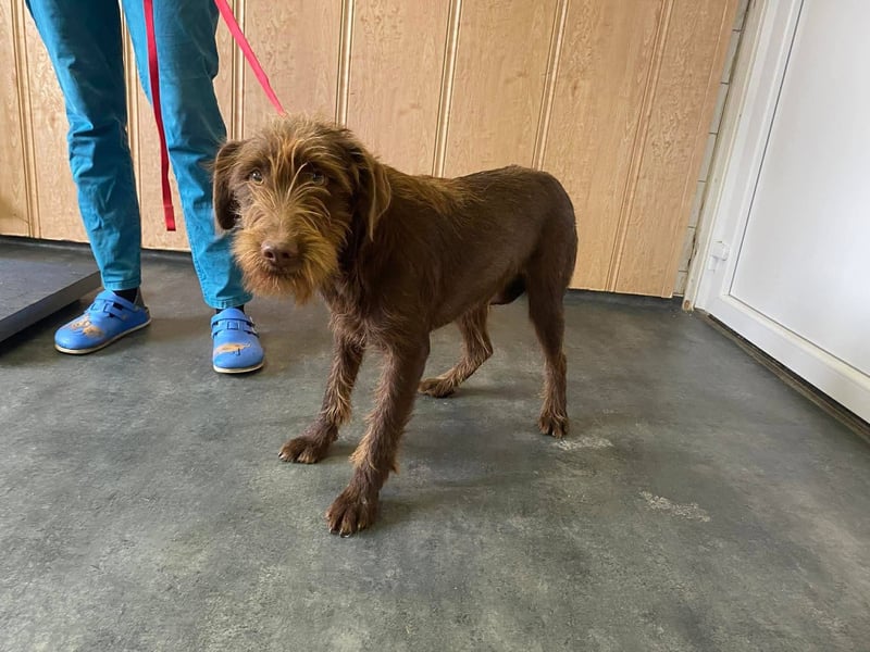 Avatar sucht Magyar Liebhaber