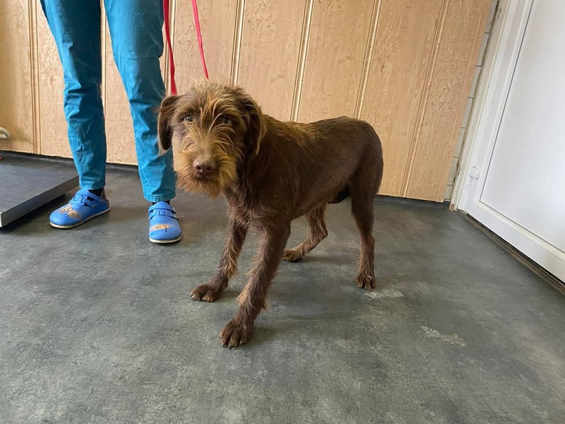 Avatar sucht Magyar Liebhaber