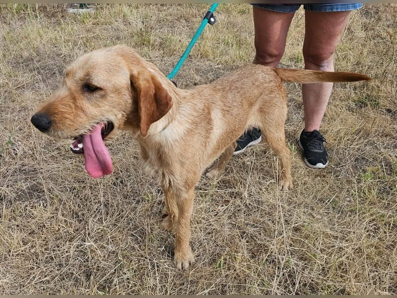 Bere, geboren 01.10.2025, 57cm sucht sein Zuhause