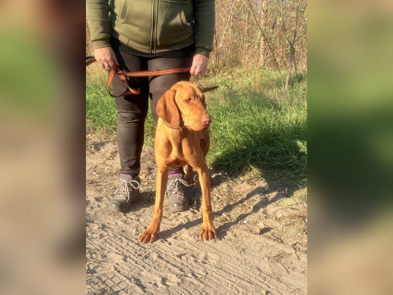 Scooba sucht ihren 6er im Lotto