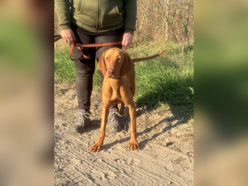 Scooba sucht ihren 6er im Lotto